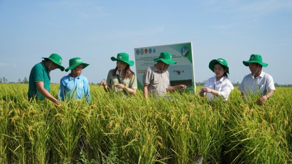 Tài chính xanh nhiên liệu chuyển đổi nông nghiệp Việt Nam